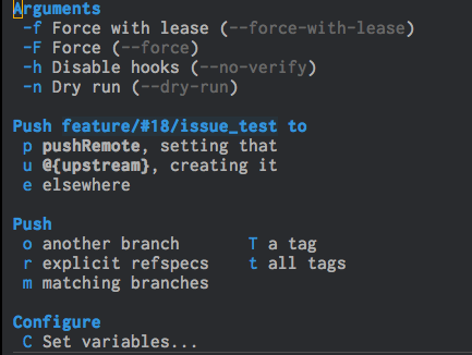 magit-branch-push-menu